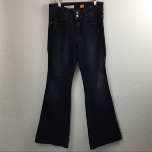 Pilcro Superscript Flare Dark Wash Jeans 29